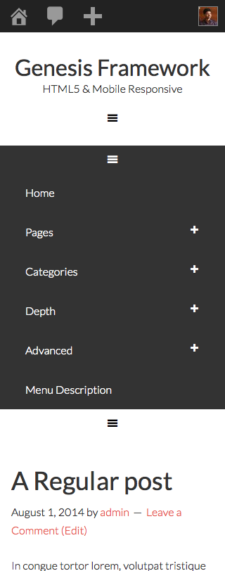 mobile-responsive-primary-menu-expanded